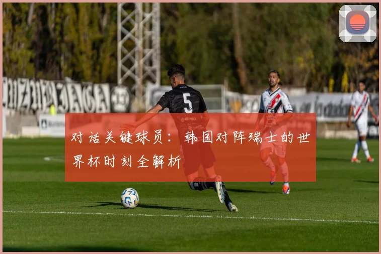 对话关键球员：韩国对阵瑞士的世界杯时刻全解析