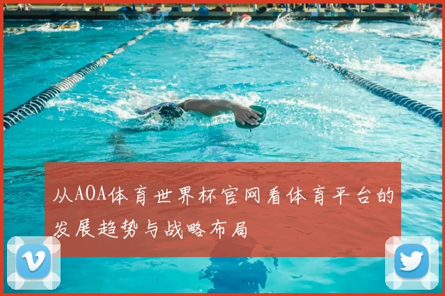 从AOA体育世界杯官网看体育平台的发展趋势与战略布局