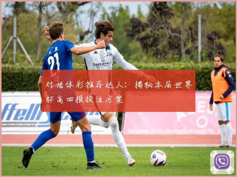 对话体彩推荐达人：揭秘本届世界杯高回报投注方案